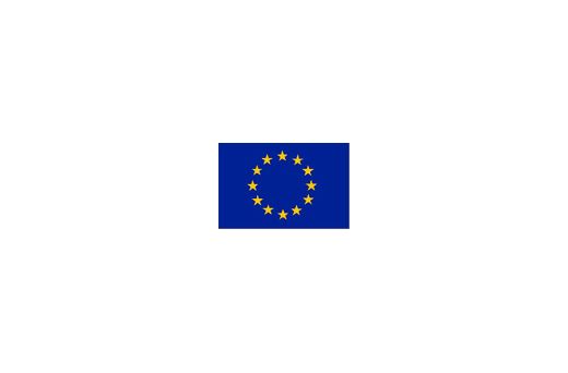 European Flag