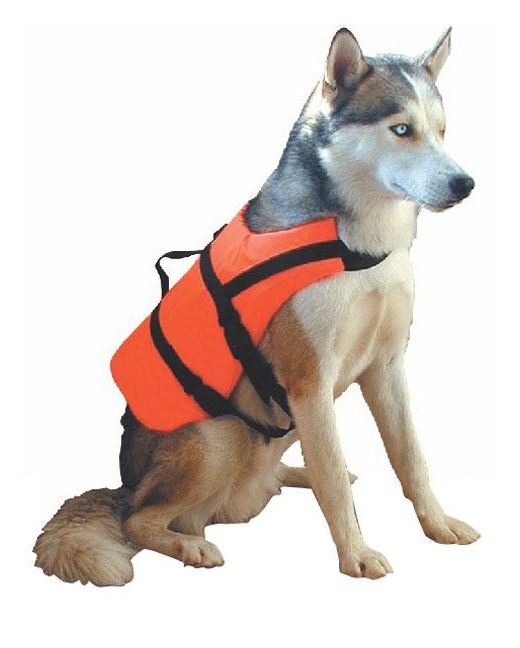 Pet lifejacket