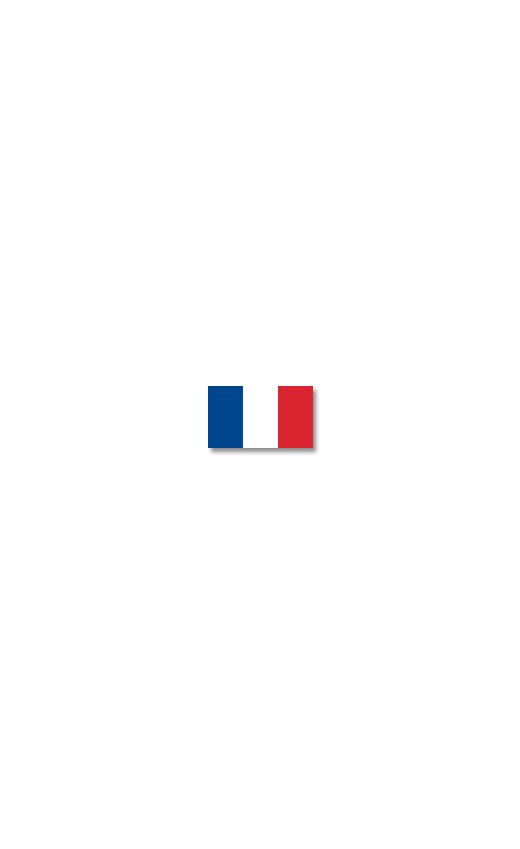 French Flag