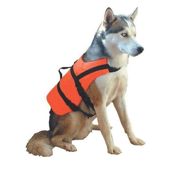 Pet Life Jacket buoyancy aid and harness