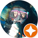 Yara Tibirica profile picture