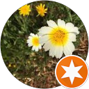 Caroline “Yodafan” Stoddart profile picture